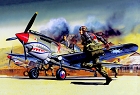 P-40B, 1:72