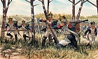 Napoleonic Wars: French Infantry, 1:72